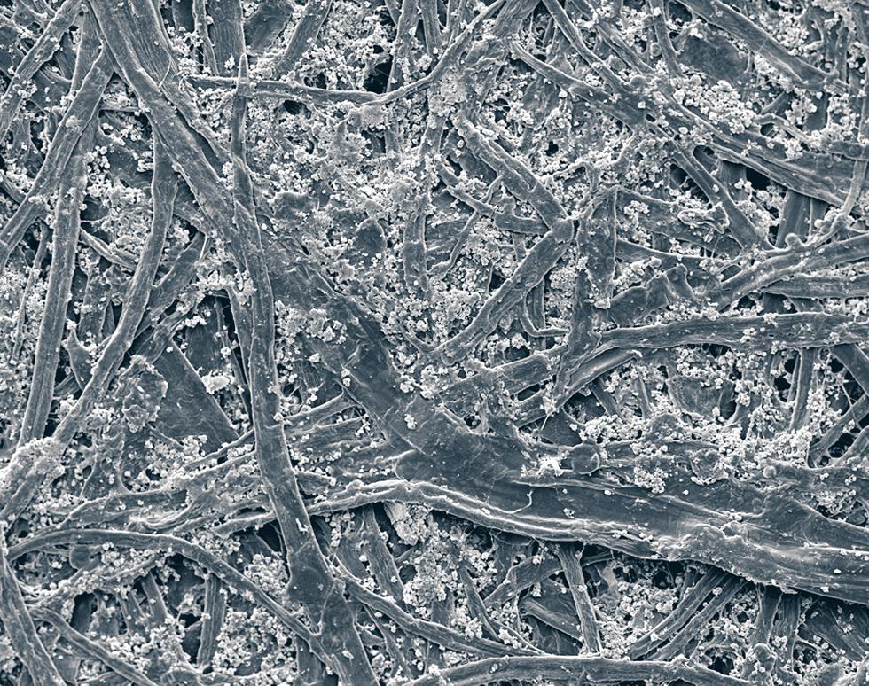 Inkjet printer paper